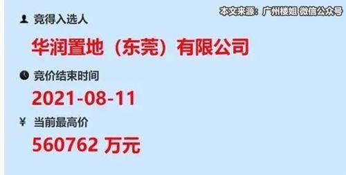 东莞国贸爆料最新消息今天,今日热点事件深度解析！”  第1张