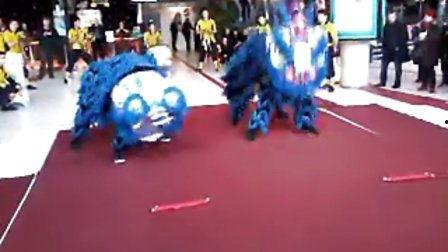 舞狮子表演视频爆料,揭秘传统表演背后的精彩瞬间  第1张